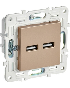 Розетка IEK Skandy SK-U21-D31-K98 Iek