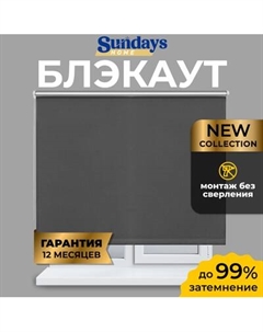 Рулонная штора Sundays Home LM 167-07 110х160 Sundays home