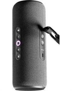 Умная портативная колонка Яндекс Станция Стрит YNDX-00030BLK