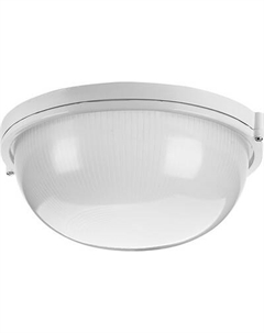 Светильник ЖКХ Wolta ДПБ03-100-001