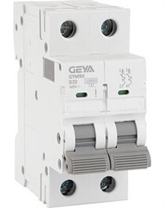 Выключатель автоматический Geya GYM9H-2P-20D