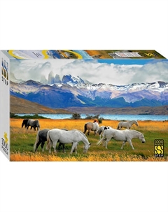 Пазл Step Puzzle Лошади в национальном парке. Чили Step puzzle