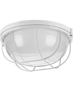 Светильник ЖКХ Wolta ДПБ03-100-002