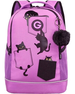 Школьный рюкзак Grizzly RG-663-2