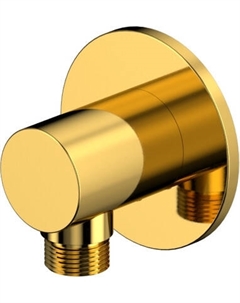 Подключение для душевого шланга Whitecross Y1018GL