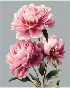 Набор алмазной вышивки Феникс+ Три пиона / 71336 Feniks