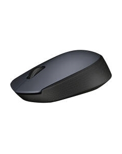Мышь Logitech M170 910-004642 / 910-004646