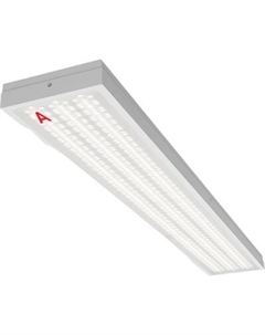 Панель светодиодная Wolta ДПО13-54-142-5К