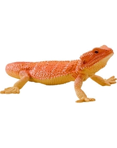 Фигурка коллекционная Konik Бородатая агама AMW2153