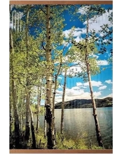 Инфракрасный обогреватель Домашний очаг Березки / 75669324-2015