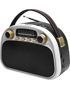 Радиоприемник Ritmix RPR-040