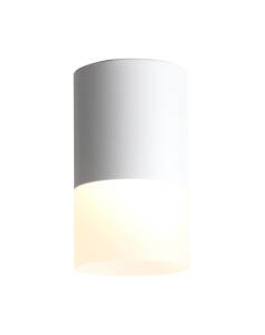 Потолочный светильник ST Luce Ottu ST100.502.10 St luce