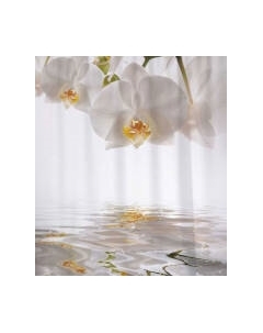 Шторка-занавеска для ванны JoyArty Орхидея ожидает / sc_2287 Joyarty