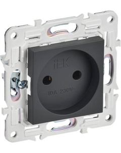 Розетка IEK Skandy SK-R10-10-K48 Iek