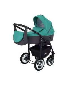 Детская универсальная коляска Rant Dream 2 в 1