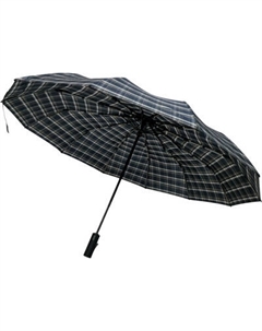 Зонт складной RS (Rain Sing) 2 / RS12СН Rs (rain sing)