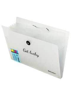 Папка-органайзер на резинке Glassy А4 Brauberg