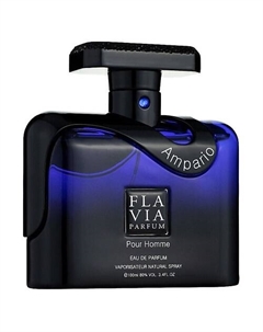 Парфюмерная вода Ampario Pour Homme 100 Flavia
