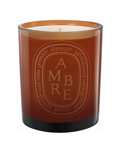 Ароматическая свеча Ambre 300 Diptyque