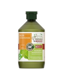 Бальзам-кондиционер для нормальных волос с экстрактом берёзы 500 Herbal & berries by modamo