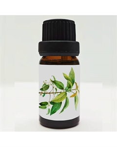 Эфирное водорастворимое масло Чайного дерева 10 Airislon