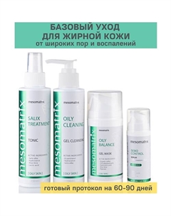 Набор косметики для жирной и кожи от прыщей, акне, постакне, черных точек 4 в 1 Mesomatrix