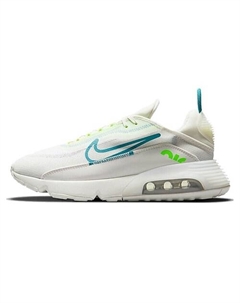 Кроссовки Air Max 2090 Platinum Tint Blustery Nike