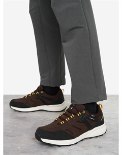 Кроссовки мужские Zenith Nylon, Коричневый Zanier