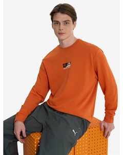 Свитшот мужской, Оранжевый Puma