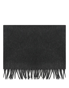 Шарф кашемировый Cesare gatti