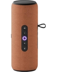 Умная портативная колонка Яндекс Станция Стрит YNDX-00030ORG