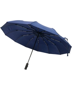 Зонт складной RS (Rain Sing) RS12T Rs (rain sing)