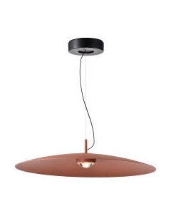 Потолочный светильник FAVOURITE 4411-2P Favourite