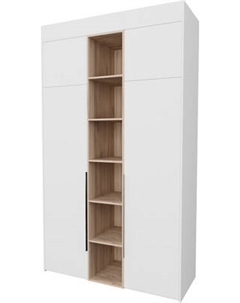 Шкаф Рэйгрупп Рэй S274-В5-EBЕ B5