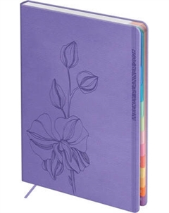 Еженедельник BG Season. Orchid 2026г А6+ / Wd_66082 Bg