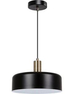 Потолочный светильник Arte Lamp A7052SP-1BK Arte lamp