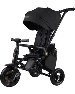 Трехколесный велосипед с ручкой QPlay S702 Rider Max Black Qplay