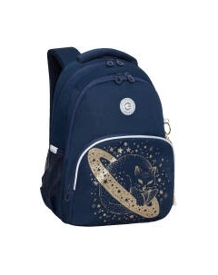 Школьный рюкзак Grizzly RG-460-2