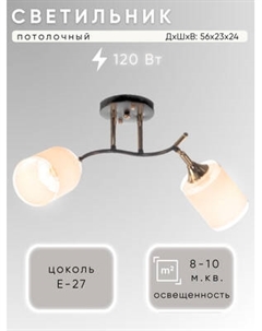 Спот Aitin-Pro НПБ 02-2x60-101 / N6089/2 Aitin-pro