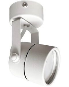 Спот Truenergy 21344