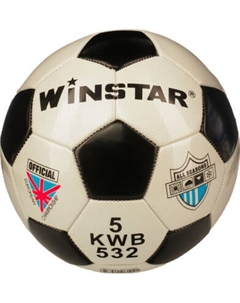 Футбольный мяч Winstar WN11009
