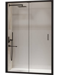 Душевая дверь RGW PA-21B / 06082112-14 Rgw