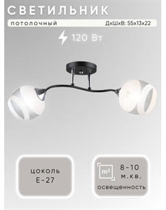 Потолочный светильник Aitin-Pro НПБ 02-2x60-101 / K2132/2 Aitin-pro
