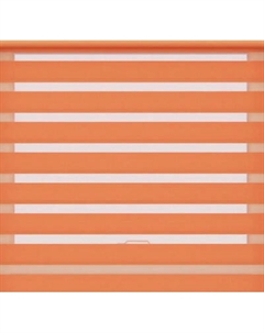 Рулонная штора Jalux День-Ночь Софт bh 1802 44x160