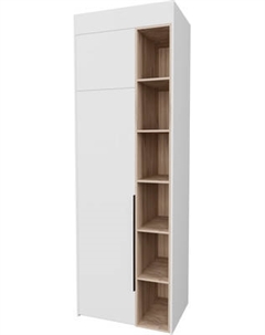 Шкаф Рэйгрупп Рэй S274-B1-EBЕ B1