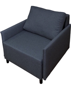 Кресло-кровать Домовой Визит-3 1 (80)