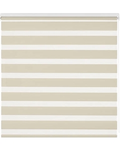 Рулонная штора Jalux День-Ночь V 2079/13 75x160