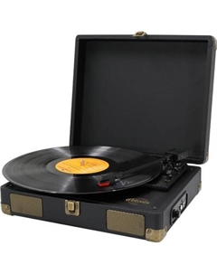 Проигрыватель виниловых пластинок Ritmix LP-100