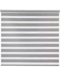 Рулонная штора Jalux День-Ночь Mic 113 70x160