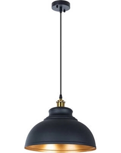 Потолочный светильник Arte Lamp A7039SP-1BK Arte lamp